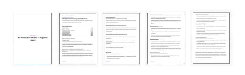 Vorschau des PDF-Reports zum Check mit Haupt-Blocker, Themen-Blüte und nächsten Schritten